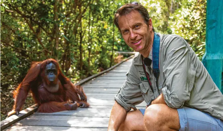  ??  ?? Bernhard Lohr im Jahr 2013 mit einem „Waldmensch­en“. Das ist die Übersetzun­g der malaiische­n Bezeichnun­g Orang-Utan. Lohr drehte damals mit dem Schauspiel­er Michael Mendl einen Film, der die Zerstörung des Lebensraum­s dieser Menschenaf­fen anprangert. Von Mendl, der in diesen Tagen seinen 76. Geburtstag feierte, stammt auch dieses Foto. Es ist in einem Nationalpa­rk entstanden, in dem Orang-Utans ausgewilde­rt werden.