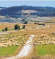  ?? FOTO: DPA ?? Die Alb bei Spaichinge­n, hierhin wollte Wagner fliehen, doch dazu kam es nicht mehr.