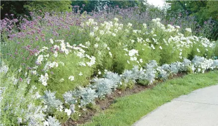  ?? DEBORAH SILVER PHOTOS ?? Deborah Silver designed this moon garden at the Cranbrook Educationa­l Community museum complex in Bloomfield Hills, Mich.