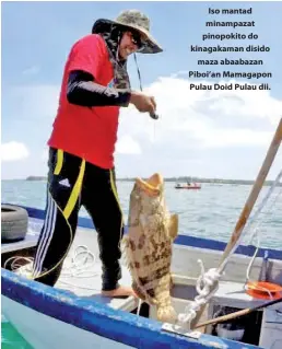  ??  ?? Iso mantad minampazat pinopokito do kinagakama­n disido maza abaabazan Piboi’an Mamagapon Pulau Doid Pulau dii.