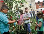  ??  ?? Am Zuckertüte­nbaum in Emils Garten. Gefeiert wurde mit Freunden und Familie.