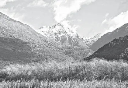  ??  ?? “Comarca de los Andes” está en la Patagonia cordillera­na. El corredor