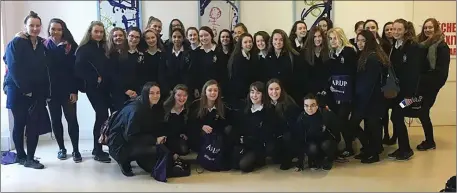  ??  ?? Transition Year students of St Mary’s, Macroom, who attended the ‘I WISH’ science fair.