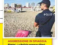  ??  ?? AGGRESSION­E IN SPIAGGIA Rimini. La Polizia esegue rilievi scientfici nel punto dove è avvenuta la violenza contro una ragazza polacca che era in compagnia del suo amico.
