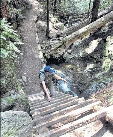  ??  ?? JoAnn Freda of Petaluma negotiates a trail ladder on Mount Tamalpais’ Steep Ravine Trail.