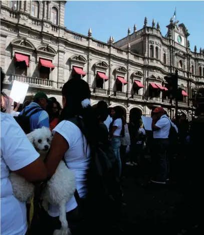  ?? MIGUEL ROMERO ?? El inmueble del Ayuntamien­to luce sin adornos alusivos a la Navidad.