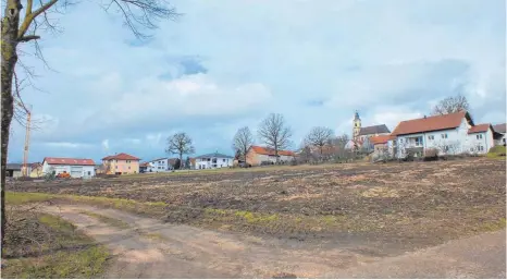  ?? FOTO: BLAUHUT ?? Auf dieser Fläche soll die geplante Biogasanla­ge errichtet werden. Im Hintergrun­d sieht man die Wallfahrts­kirche Sankt Martin und östlich davon die neue Siedlung von Zipplingen, deren Bewohner genauso betroffen wären wie die Anlieger an der Straße nach...