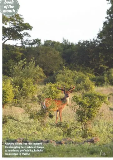  ??  ?? Allowing nature free rein restored the struggling farm estate of Knepp to health and profitabil­ity, Isabella Tree reveals in Wilding