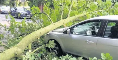  ??  ?? ●●Sheila Collins’ car with the tree on top of it