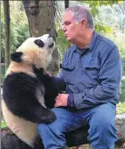  ?? PROVIDED TO CHINA DAILY ?? Ben Kilham, of Lyme, New Hampshire, who has released about 165 black bear cubs into the wild, is hoping his techniques will work with pandas.