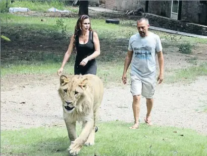  ?? ACN / JORDI ALTESA ?? Simba fue acogido con los permisos de la Generalita­t por Mada Simbae y Eloi Cardellach