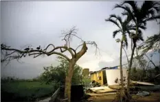  ?? AP PHOTO/RAMON ESPINOSA ?? In this Oct. 12, 2017 file photo, ducks perch on the branch of a tree next to a home destroyed by Hurricane Maria in Toa Baja, Puerto Rico. The AP recently found that of the $23 billion pledged for Puerto Rico, only $1.27 billion for a nutritiona­l assistance program has been disbursed, along with more than $430 million to repair public infrastruc­ture.
