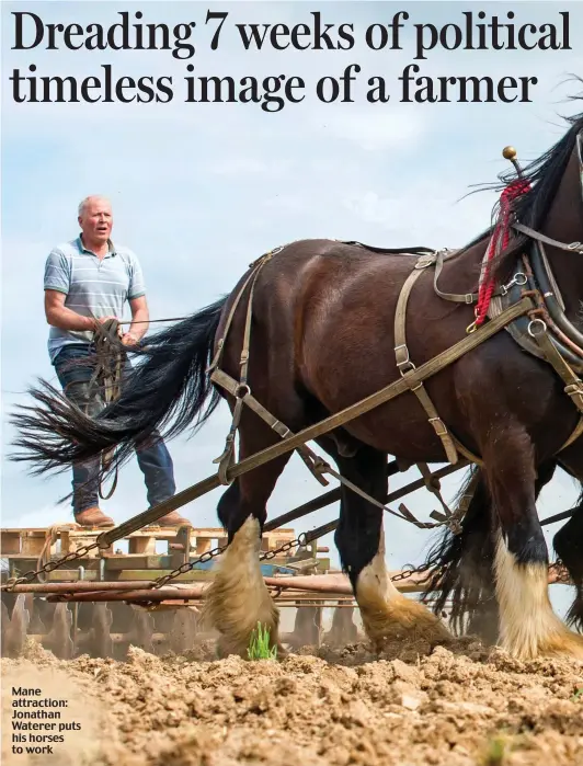  ??  ?? Mane attraction: Jonathan Waterer puts his horses to work