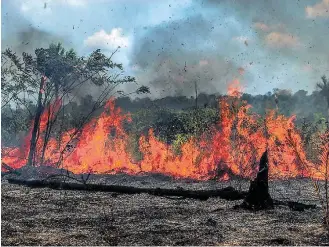  ?? GABRIELA BILO / ESTADÃO - 27/8/2019 ?? Pressão. Governo federal tem sido criticado por alta do desmate e de incêndios na floresta