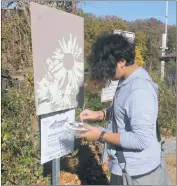  ??  ?? La Plata High School junior John Javier paints a scene at Mallows Bay as part of a cooperativ­e art project with Charles County government and NOAA.