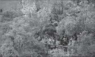  ?? LI ZHIMING / FOR CHINA DAILY ?? The light and shade in fall foliage attract large numbers of tourists to the Pofengling scenic area in the district.