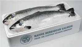 ??  ?? Above: Scottish Salmon Company’s Native Hebridean salmon