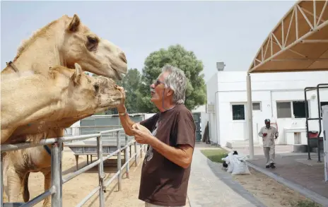  ??  ?? Dr Ulrich Wernery at the Central Veterinary Research Laboratory has identified reliable tests for camels Anna Nielsen for The National