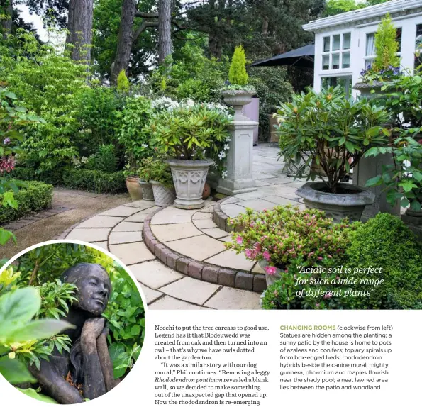  ??  ?? CHANGING ROOMS (clockwise from left) Statues are hidden among the planting; a sunny patio by the house is home to pots of azaleas and conifers; topiary spirals up from box-edged beds; rhododendr­on hybrids beside the canine mural; mighty gunnera,...