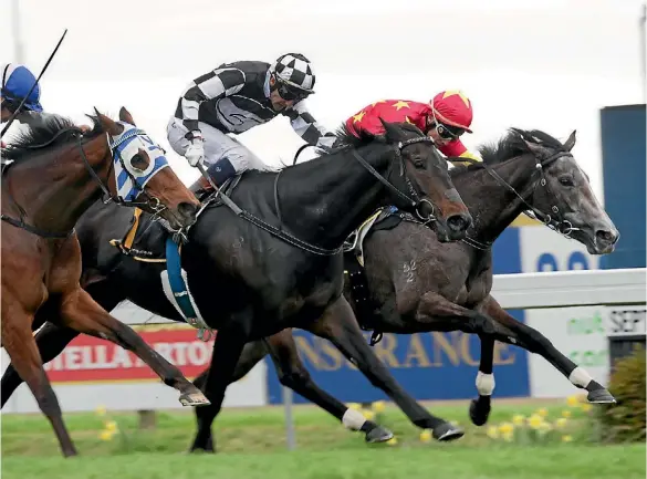  ??  ?? Kawi (middle) drives hard at Mime in the Windsor Park Plate with Rasa Lila flashing home down the outside for third.