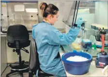  ?? Photograph: Elihu Aranday-Cortes. ?? Dr Yasmin Parr at work at the Centre for Virus Research.