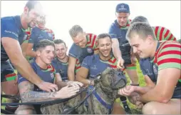  ?? Picture: Andy Jones FM4545316 ?? Rugby players from Cliffe Crusaders RFC meet Archie at the RSPCA centre