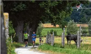  ??  ?? Da staunten selbst die Pferde auf der Weide, als die Läuferinne­n und Läufer im idyllische­n Schmuttert­al an ihnen vorbei dem Ziel zustrebten.