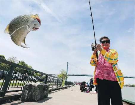  ?? PHOTOS: DAN JANISSE ?? Connie Woon, 67, of Markham reels in a fish she caught in the Detroit River just east of the Ambassador Bridge on Friday. Many anglers are travelling from across Southweste­rn Ontario to take advantage of the silver bass run.