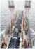  ?? FOTO: DPA ?? Ein Schiff verlegt in der Ostsee Rohre für Nord Stream 2.