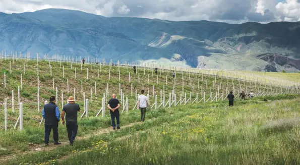  ??  ?? Above: the YacoubianH­obbs estate vineyard in Armenia