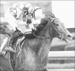  ?? COADY PHOTOGRAPH­Y ?? Kimari, winner of the Purple Martin at Oaklawn in her last, will start in the straight-course Commonweal­th on Friday