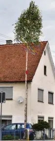  ?? Foto: Aumiller ?? Ein Maibaum ziert in Holzheim die Augsburger Straße.