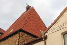  ?? ?? Der Storch ist da, so früh wie nie! Drei Tage nach der gemeldeten Ankunft aus Borxleben am 13. Januar gelang dem Bretlebene­r
Utz Gäbel am Montag dieser Schnappsch­uss in Ringleben.
UTZ GÄBEL
Kerstin Fischer