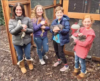  ?? Associated Press ?? Members of the Abta family, from left, Allison, Violet, Eli, and Ariella, hold hens in front of their backyard chicken run in Ross, Calif., on Dec. 15. Forced to hunker down at home, more people are setting up coops and raising their own chickens, which provide an earthy hobby, animal companions­hip and a steady supply of fresh eggs.