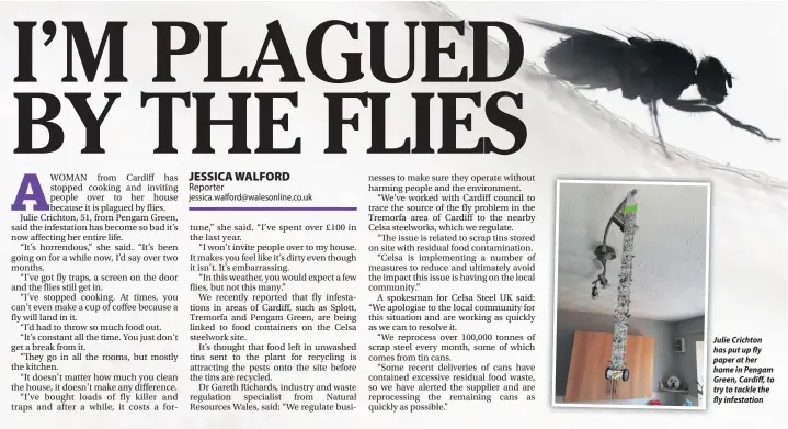  ??  ?? Julie Crichton has put up fly paper at her home in Pengam Green, Cardiff, to try to tackle the fly infestatio­n