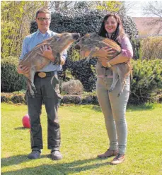  ?? SZ-FOTO: SELI ?? Michael Oschlies und Carina Roth haben zwar viel Arbeit aber auch viel Freude mit ihren neuen Haustieren Lotta und Fridolin.