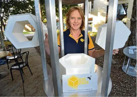  ?? PHOTO: BRETT WORTMAN ?? BUSY BEE: Ann Ross of Hive Haven is working towards a commercial future for Australian stingless native bees.