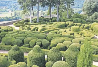  ?? Bety Montgomery photos ?? A stunning garden of swirling box topiary at the Jardins de Marqueyssa­c in the Dordogne Valley in France.