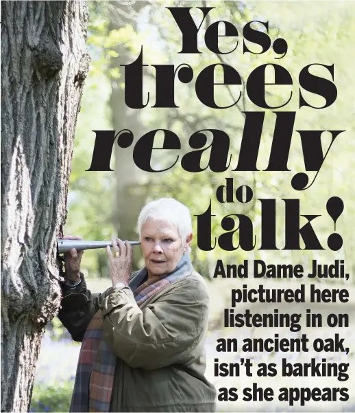  ??  ?? Tree-lover: ‘It’s mind-blowing. A forest is a social place,’ says Judi Dench