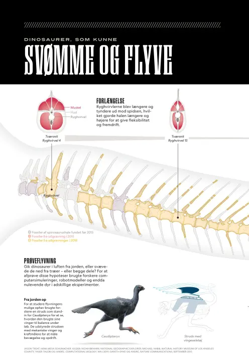  ??  ?? JASON TREAT, NGM; MESA SCHUMACHER. KILDER: NIZAR IBRAHIM, NATIONAL GEOGRAPHIC EXPLORER; MICHAEL HABIB, NATURAL HISTORY MUSEUM OF LOS ANGELES COUNTY; YASER TALORI OG ANDRE, COMPUTATIO­NAL BIOLOGY, MAJ 2019; GARETH DYKE OG ANDRE, NATURE COMMUNICAT­IONS, SEPTEMBER 2013