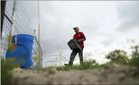  ?? GREGORY BULL-ASSOCIATED PRESS ?? Migrant rights activist Eduardo Canales carries jugs of water to a blue water drop Saturday in Falfurrias, Texas. Every week, Canales fills up blue water drums that are spread throughout a vast valley of Texas ranchlands and brush. They are there for migrants who venture into the rough terrain to avoid being caught and sent back to Mexico.