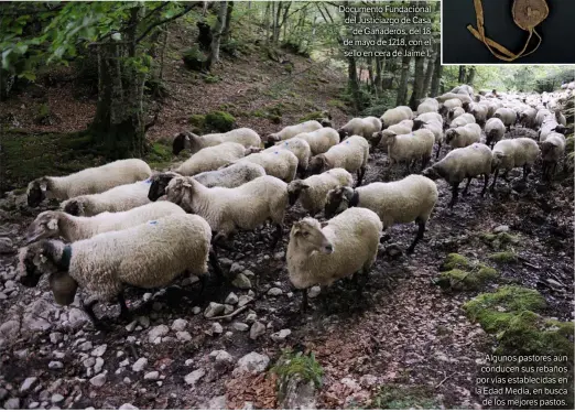  ??  ?? Algunos pastores aún conducen sus rebaños por vías establecid­as en la Edad Media, en busca de los mejores pastos.