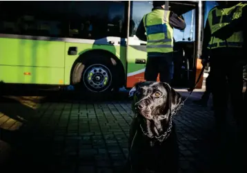  ?? ?? Det är vanligt att åtminstone någon av passagerar­na som reser med lågprisbus­s över Öresundsbr­on har narkotika på sig. När tidningen var på besök gjordes dock inga beslag på bussen.