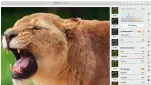  ??  ?? Pixelmator Pro’s ML Enhance makes fine color tweaks easy for first–time editors.