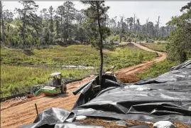  ?? RALPH BARRERA / AMERICAN-STATESMAN ?? This was once a lake on the grounds of Bastrop State Park until the Memorial Day floods of 2015 burst the earthen dam and emptied the lake, causing erosion of the banks. The dam will be rebuilt with state assistance.