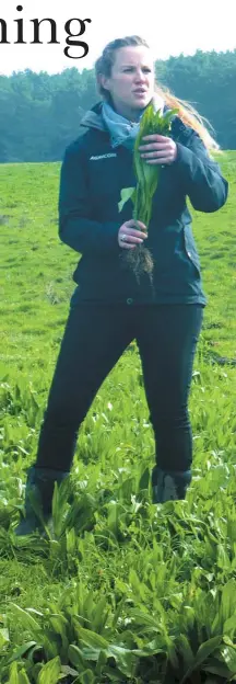  ?? Photos / Laurel Stowell ?? DairyNZ’s Laura Keenan talks about how plantain does in pasture.