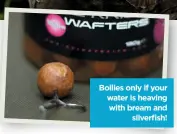  ??  ?? Boilies only if your water is heaving with bream and silverfish!