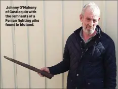  ??  ?? Johnny O’Mahony of Castlequin with the remnants of a Fenian fighting pike found in his land.