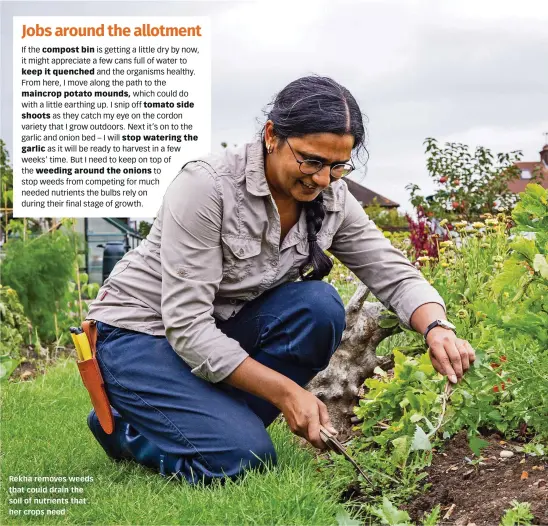  ??  ?? Rekha removes weeds that could drain the soil of nutrients that her crops need