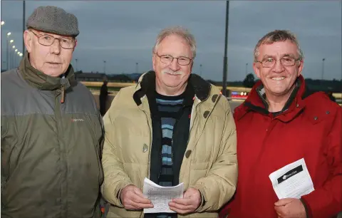  ??  ?? P.J. Phelan with brothers, John and Andrew Hand, at the greyhound racing in Enniscorth­y on Thursday.